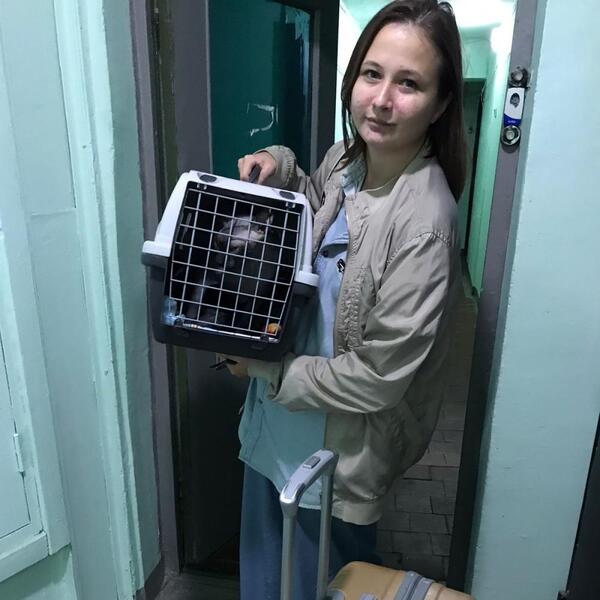 Доставка животных в Москве. Зоотакси по России и СНГ.