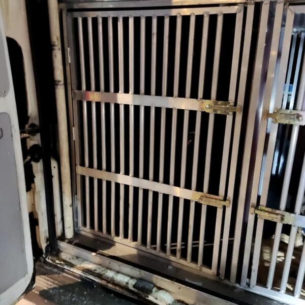 «PetsCar» - зоотакси в Москве. Перевозки животных по России, СНГ и миру.