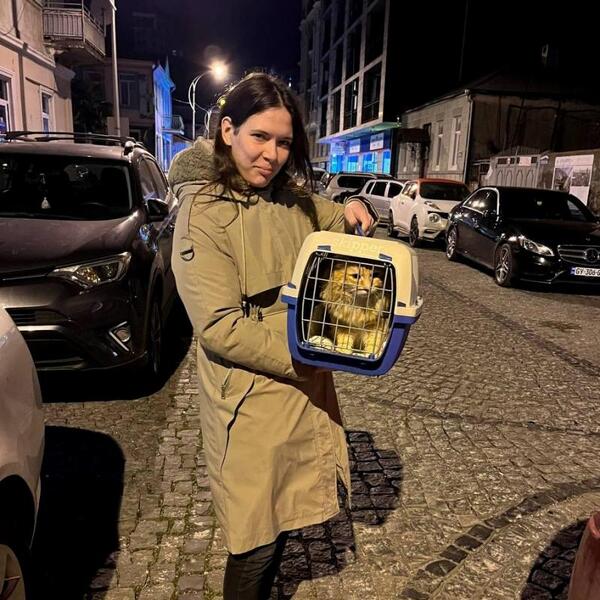 «PetsCar» - зоотакси в Москве. Перевозки животных по России и СНГ.
