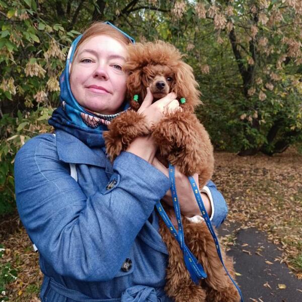 «PetsCar» - зоотакси в Москве. Перевозки животных по России. Доставка собак в Грузию