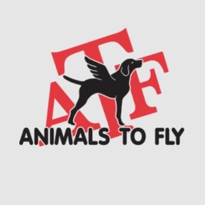 Animals To Fly 
