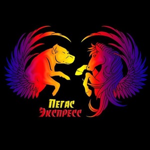 Александра Шумилина (Alexandra Shumilina)