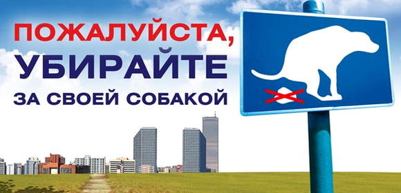 Почему нужно убирать за собакой на улице?