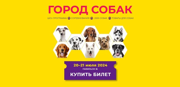 Приглашение на выставку «ГОРОД СОБАК 2024»