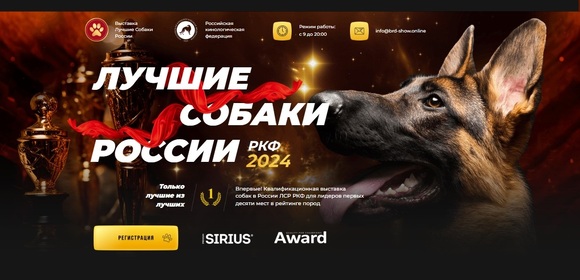 Приглашение на выставку «Лучшие собаки России 2024»