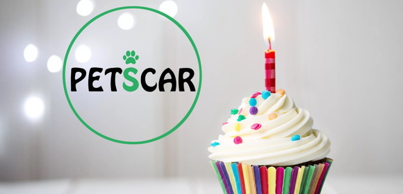 Зоотакси «PETSCAR» исполняется 1 год. Спасибо, что вы с нами!