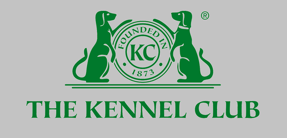 Ответ The Kennel Club Великобритании на запрос РКФ