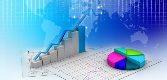 Статистика PETSCAR.RU за первую половину 2025 г.
