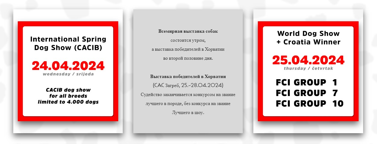 всемирная выставка собак «World Dog Show 2024»