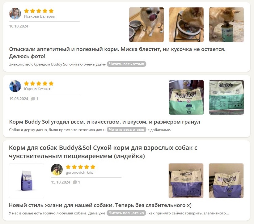 Корм для кошек Buddy&Sol отзывы