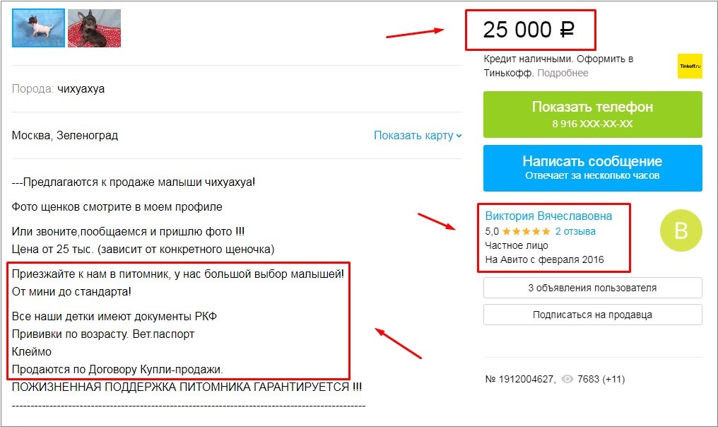 перевозка животных по России. Служба зоотакси в Москве